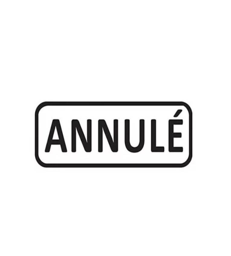 Tampon encreur  Professionnel ''ANNULE'' Trodat 4912 , Encre à Séchage Rapide ,Formule Commerciale